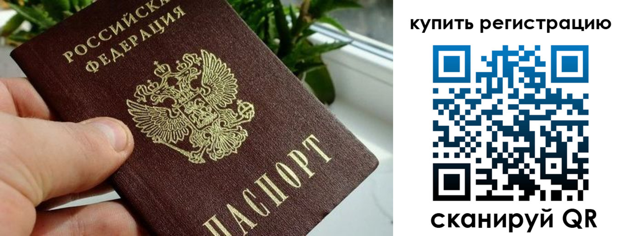 прописка гарантия в Курчатове
